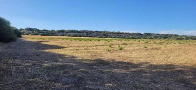 Immobile in asta di 584352 m² in vendita a Ispica - Foto 17