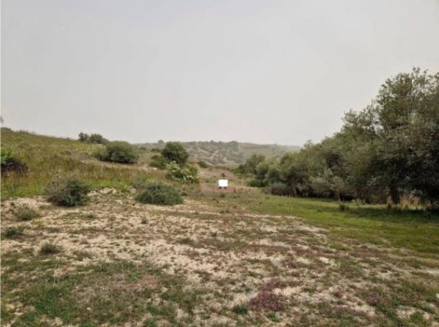 Immobile in asta di 53290 m² in vendita a Mazzarrone - Foto 13