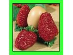Fragole giganti