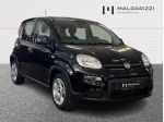 FIAT Panda III 2021 1.0 firefly hybrid s&s 70cv