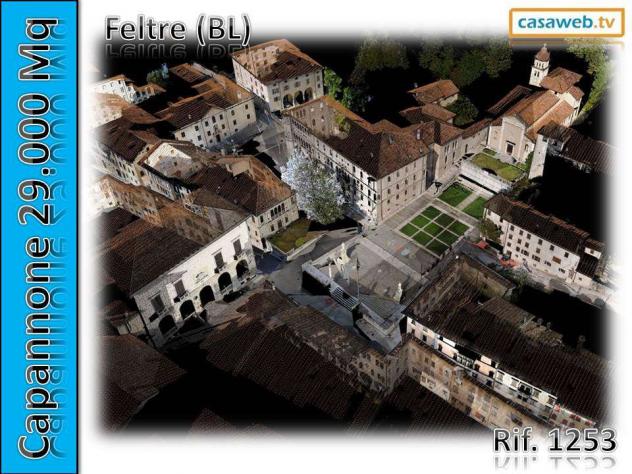 1253 - Capannone a Borgo Valbelluna - Foto 10