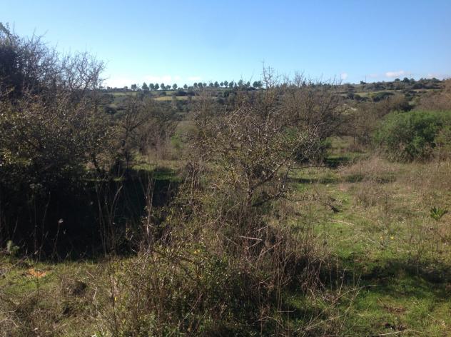 Seminativo in vendita a Siracusa - Foto 4
