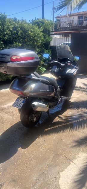 Silver wing - Foto 5