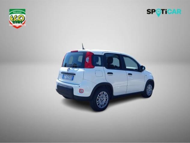 FIAT Panda 1.0 FireFly S&S Hybrid rif. 23820569 - Foto 5
