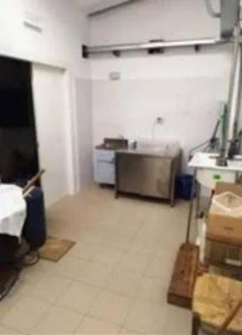 Immobile in asta di 293909 m² in vendita a Montefelcino - Foto 5