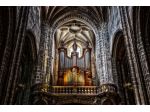 Organista Cuneo
