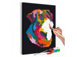 Quadro Fai Da Te 40x60 Cm. Animali N. 19 ARREDALACASA Spedizione Gratis