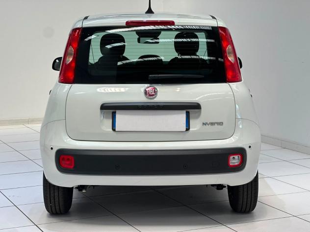 FIAT Pandina Pandina 1.0 firefly hybrid Icon s&s 65cv 5p.ti - Foto 6