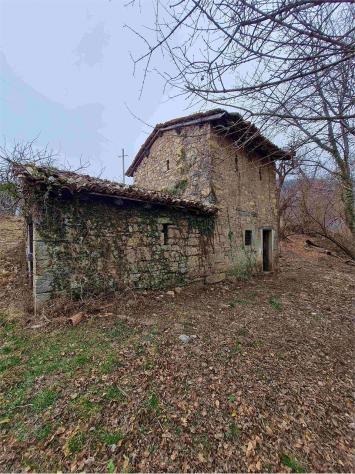 2239/2025 4 BG - Fabbricato rurale con stalla e fienile + terreni agricoli e boschivi - Foto 12