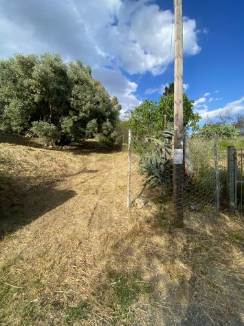 VENDESI – PLACANICA – CONTRADA SANTA DOMENICA - Foto 6