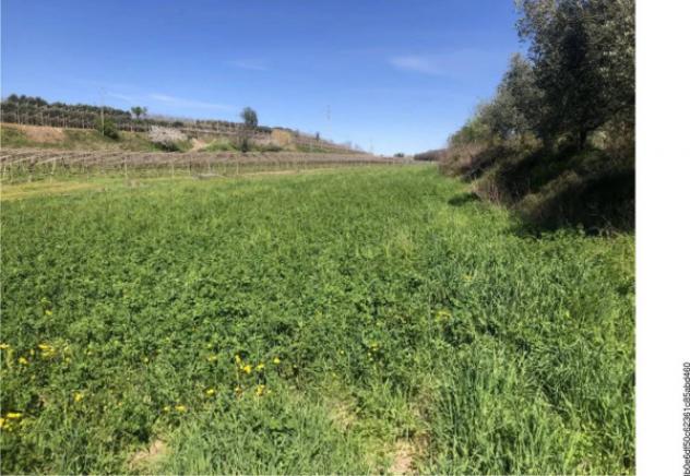 Immobile in asta di 7308 m² in vendita a Sona - Foto 8
