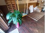 Locale comm.le/Fondo in vendita a Monte San Quirico - Lucca 75 mq Rif: 1386086
