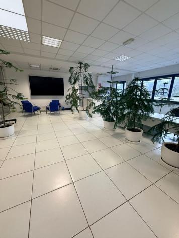 Ufficio in affitto a Vergiate - Foto 13