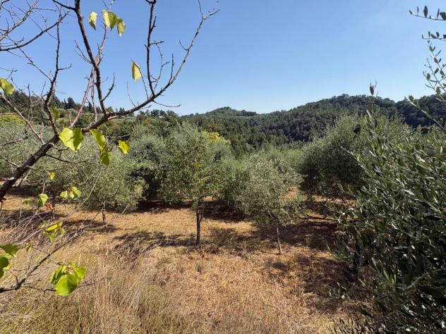 Terreno agricolo in vendita a Montecastello - Pontedera 5110 mq Rif: 1425459 - Foto 5