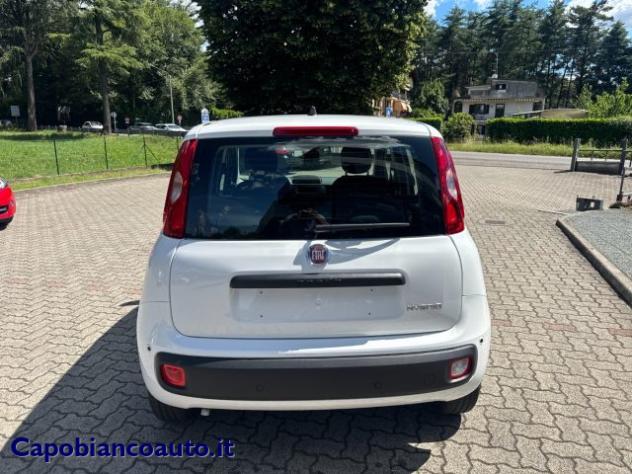 FIAT Panda 1.0 FireFly S&S Hybrid POP KM0 PROMO rif. 23776922 - Foto 5