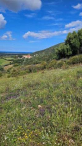 Immobile in asta di 483 m² in vendita a Viddalba - Foto 15