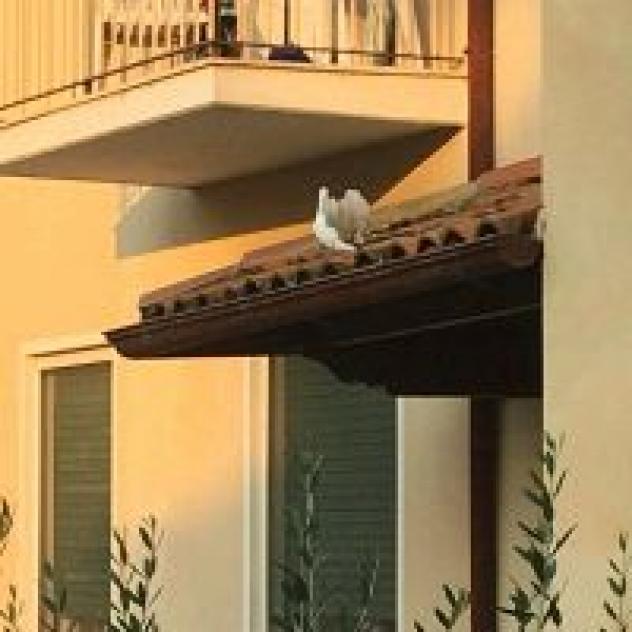 Albergo Marina di Zorzi Giampiero - Foto 3