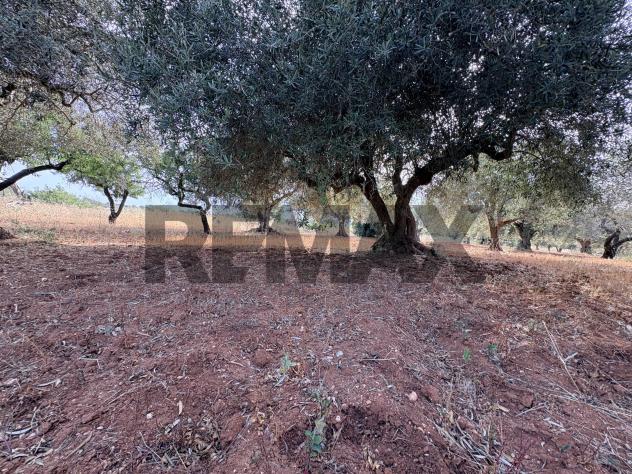 Terreno in vendita a Comiso, Centro - Foto 11