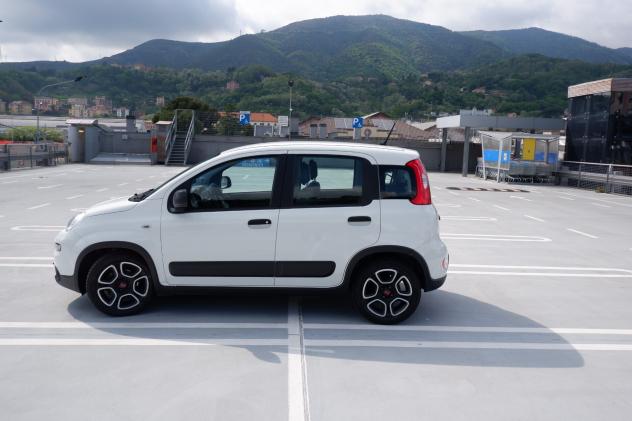 Fiat Panda 1.0 GSE S&S Hybrid Street Van 4 posti - Foto 2