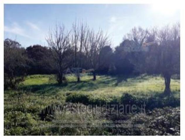 IMMOBILI-IMMOBILE RESIDENZIALE-S.da Massafra E 164, 74015 Martina Franca TA, Italia - Foto 3