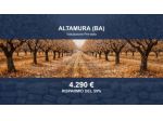 Immobile in asta di 5189 m² in vendita a Altamura