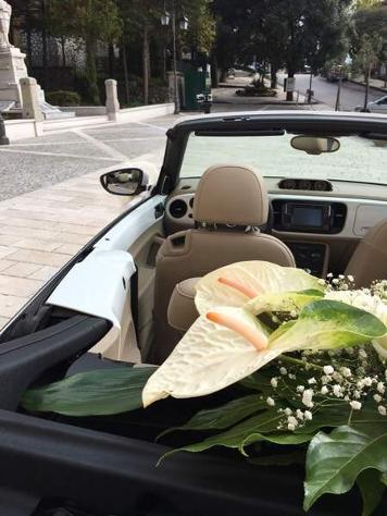 Noleggio Nuovo Maggiolino Cabrio - Foto 2