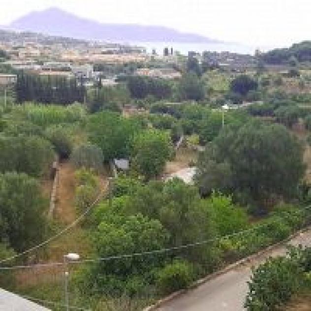 Gli Ulivi di Eolo S.a.s. di Linda Pagano & C. - Foto 2