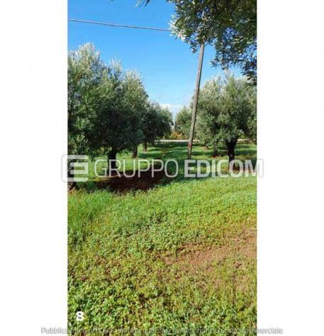 Terreno in vendita a Lamezia Terme - Rif. 4547564