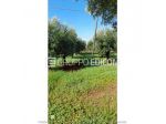 Terreno in vendita a Lamezia Terme - Rif. 4547564