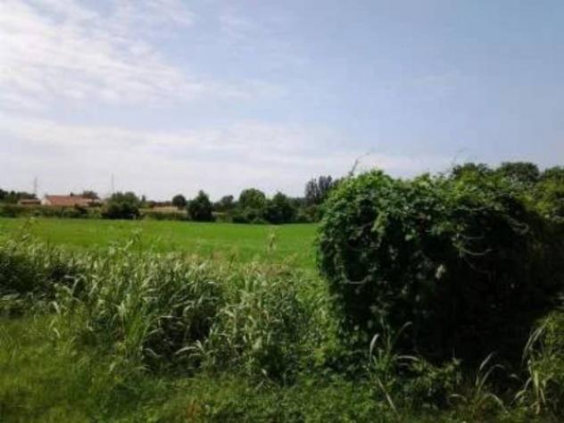 Immobile in asta di 9154 m² in vendita a Vigonovo - Foto 2