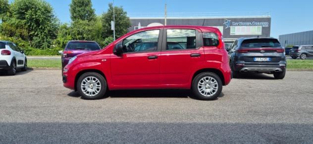 FIAT Panda 3ª serie Panda 1.0 FireFly S&S Hybrid - Foto 4