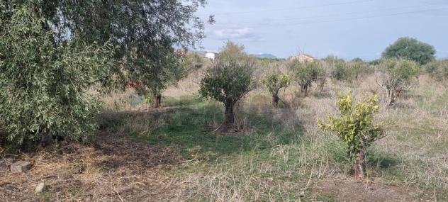 Terreno in vendita a Paternò - Foto 3
