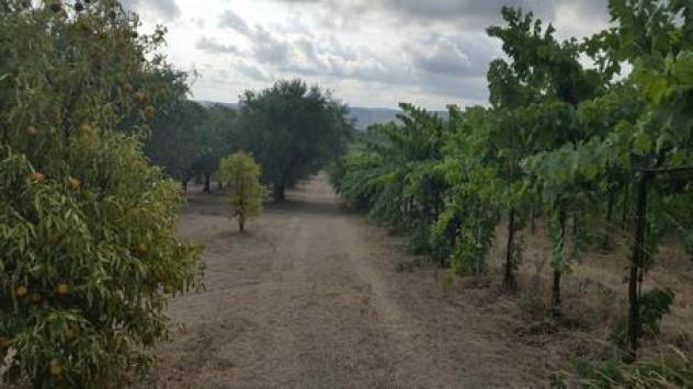 Seminativo in vendita a Santa Maria Imbaro - Foto 18