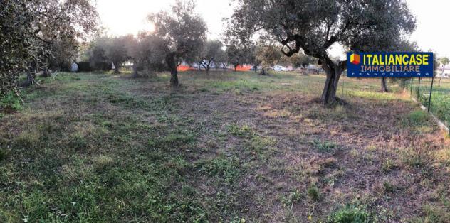 Agricolo in vendita a Città Sant'Angelo