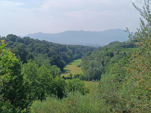 Terreno agricolo in vendita a Treggiaia - Pontedera 100000 mq Rif: 938474 - Foto 2