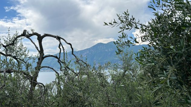 Lago di Garda in roulotte a Castelletto di Brenzone - Foto 4
