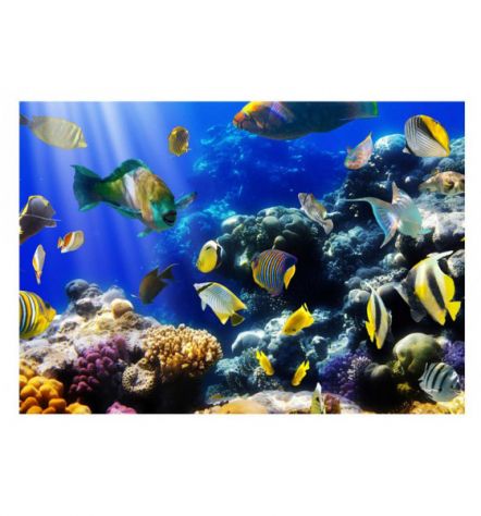 Fotomurale Adesivo Con Acquario Arredalacasa - Foto 2