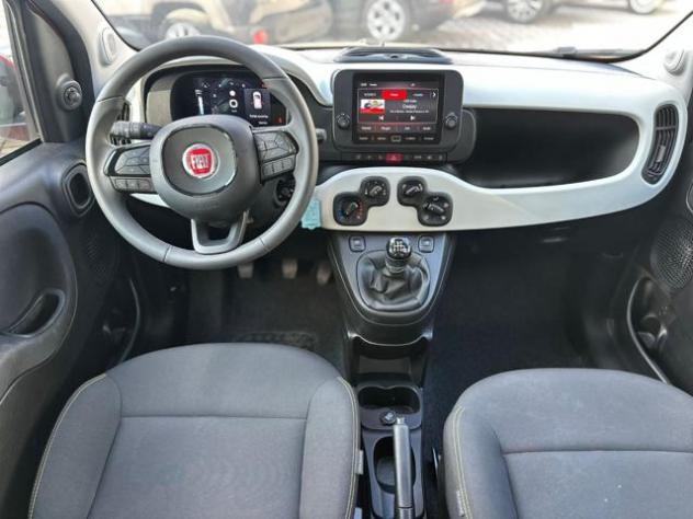 FIAT Panda 1.0 FireFly S&S Hybrid Pandina Cross rif. 23899573 - Foto 5