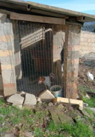 Immobile in asta di 139 m² con più di 5 locali e box auto in vendita a Pianella - Foto 6