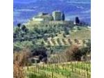 Agriturismo La Busca