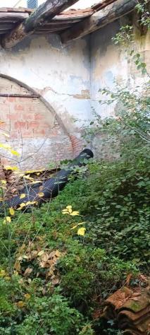 Rustico in vendita a Acciaiolo - Fauglia 228 mq Rif: 1083468 - Foto 3