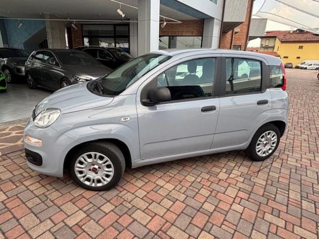 FIAT Panda 1.0 FireFly S&S Hybrid rif. 24163427 - Foto 8