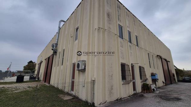 CUCCURANO: Fano - cuccurano proponiamo in vendita capannone di circa 250 mq.
situato nella zona artigianale/direzionale, comoda alle principali vie di - Foto 9