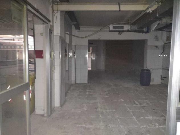 Magazzino in affitto a Jesi - Foto 11