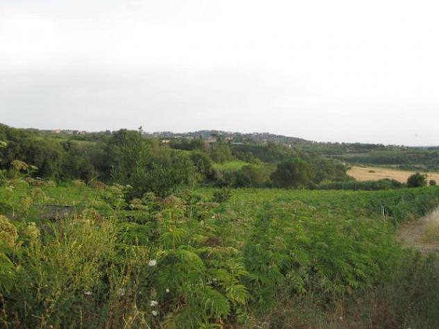Immobile in asta di 152 m² in vendita a Grottaferrata - Foto 10