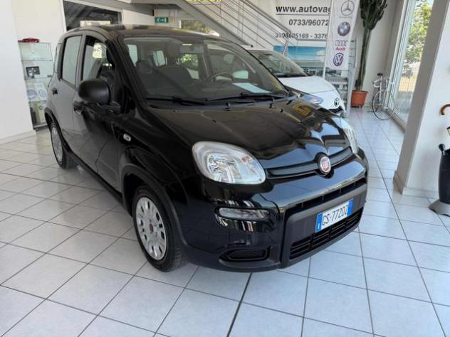 FIAT Panda 1.0 FireFly S&S Hybrid rif. 23751135