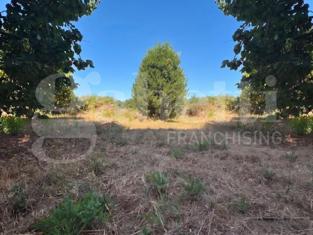 Stabile/Palazzo - Latina . Rif.: Cod. rif 3336300VRG - Foto 19