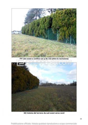 Terreno di 13290 mq in vendita a Aviano - Rif. 4551424 - Foto 16