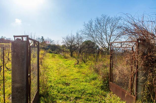 Terreno in vendita a Biancavilla - Foto 10