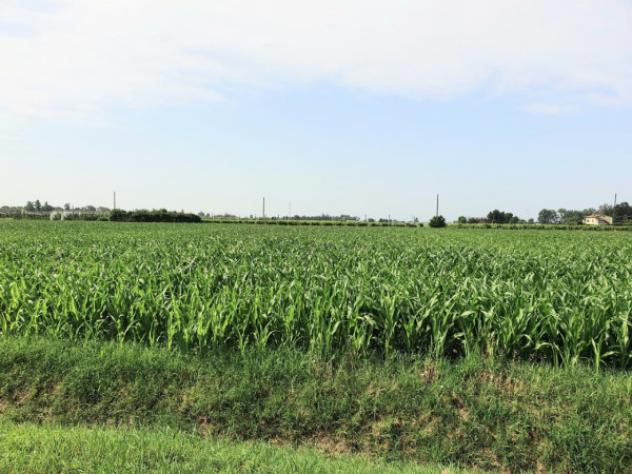 Rustico / Casale di 400 m² in vendita a Bomporto - Foto 3